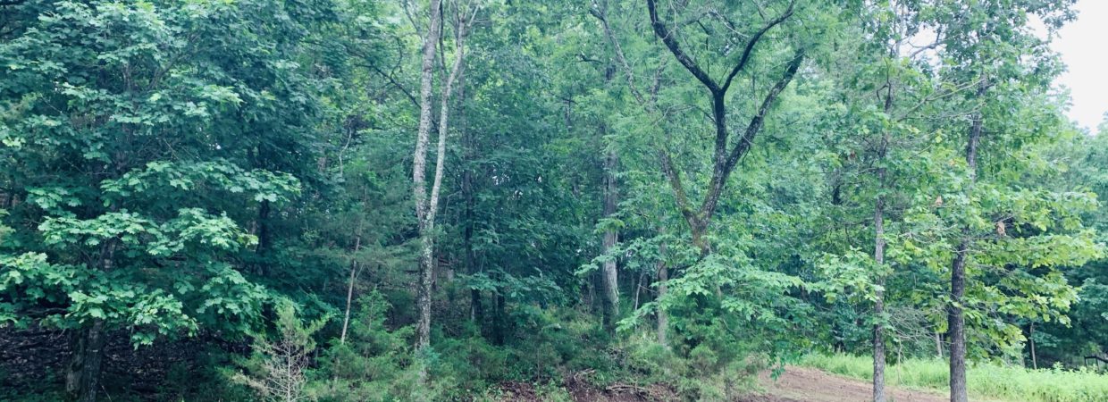 Land For Sale Beaver Lake Arkansas