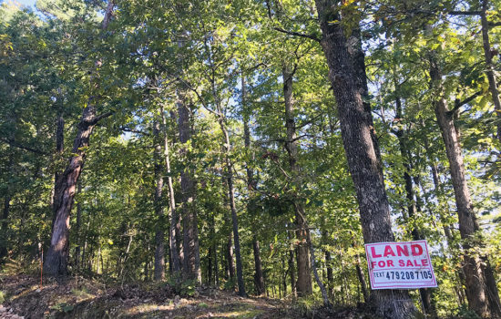 Land For Sale 0.38 Acres Near Beaver Lake in Rogers Arkansas
